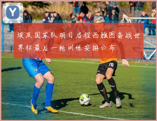 埃及国家队明日启程西雅图备战世界杯最后一轮训练安排公布