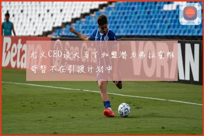 尤文CEO谈大马丁加盟潜力弗拉霍维奇暂不在引援计划中