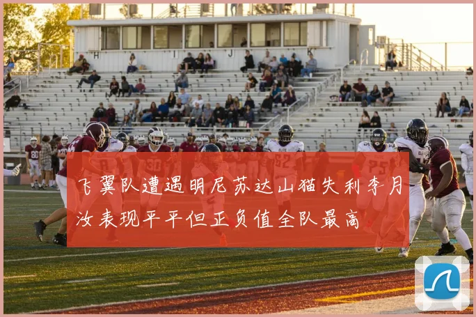 飞翼队遭遇明尼苏达山猫失利李月汝表现平平但正负值全队最高