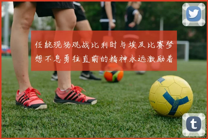 任航现场观战比利时与埃及比赛梦想不息勇往直前的精神永远激励着我们